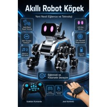 Blackbird Game Center Blic Brb2 Akıllı Robot Köpek Uzaktan Kumandalı Jest Kontrollü Rgb Işıklı ve Sis Efektli Akrobatik Oyuncak