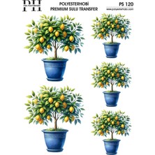 Polyesterhobi Premium Sulu Transfer 25X35 cm Limon  Ağacı Desenli Ps 120