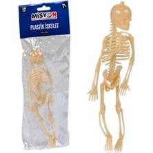 Misyon Plastik Iskelet Ec-27 MSY-5647