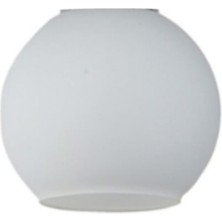 Opal Cam