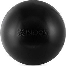 Bloom LB7054-65-BK 65 cm Pilates Topu + Pompası