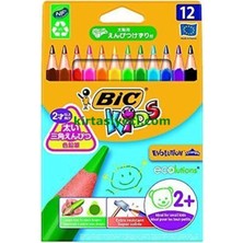 Bic 8297356 Evolution Üçgen Jumbo Boya Kalemi 12LI Kutu