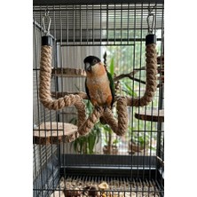 Mivra Pets Esnek Kuş Tüneği 50 cm Şekil Alabilen 2 cm Kalın Doğal Jüt Ip