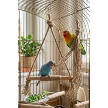 Mivra Pets 2’li Doğal Jüt Kuş Oyuncağı Seti Ahşap Salıncak ve Stres Ipi Papağan Oyuncağı
