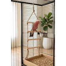 Mivra Pets Papağan Kuş Oyuncağı Doğal Ahşap Merdiven Kemirme Tırmanma Jüt Ip