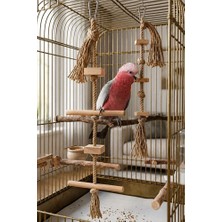 Mivra Pets Ikili Set Doğal Ahşap Papağan Kuş Oyuncağı Tırmanma Merdiveni Kemirme Gaga Törpüleyici