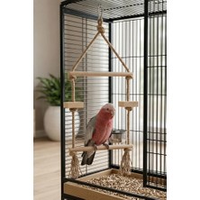 Mivra Pets Doğal Ahşap Papağan Kuş Salıncağı Tırmanma Merdiveni Tünek 8mm Jüt Ipli Kafes Oyuncağı 60X25CM