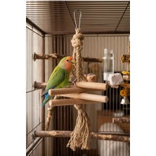 Mivra Pets Papağan Stres Oyuncağı Doğal Ahşap Kemirme ve Parçalama Kuş Oyuncağı