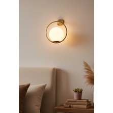 Milaya Modern Globe Camlı Duvar Aplik
