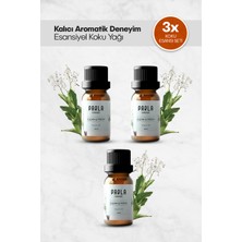 Parla Concept Çamaşır Yün Kurutma Topu Koku Seti - 10 ml - 3 Adet Clean Fresh - Esansiyel Uçucu Yağ