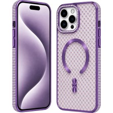 Nettech Apple iPhone 16 Pro Max Uyumlu Taşlı Seri Arka Koruma Kılıf