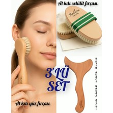 Madame Naturel %100 Doğal 3'lü Set(At Kılı Selülit Fırçası+At Kılı Yüz Fırçası+Masaj Tahtası)