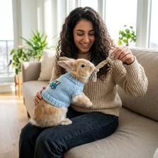 Lady Fify Tavşan ve Ginepig Için Arabalı Mavi Kazak