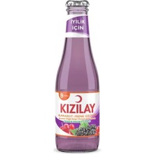 Bezos Maden Suyu Karadut-Frenk Üzümü 200ML 1 Adet