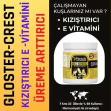 Gloster - Crest Kanarya ve Büyük Irk Kuş Kızıştırıcı, E Vitamini, Üreme ve Yumurta Arttırıcı Mix (Feroxit Big Breed Special Series 20 Gr)