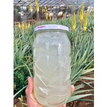 Alovia 1000 ml Doğal Saf Alovera Jel Taze Aloe Vera Jeli Katkısız Aloe Vera Gel