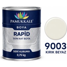 Pamukkale Arge Toptan Rapid Hızlı Kuruyan Metal Boyası Parlak 0.75 kg Kırık Beyaz Ral 9003