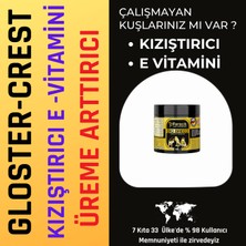 Gloster Kanarya ve Büyük Irk Kuş Kızıştırıcı, E Vitamini, Üreme ve Yumurta Arttırıcı Mix (Feroxit Big Breed Special Series 100 Gr) Büyükambalaj