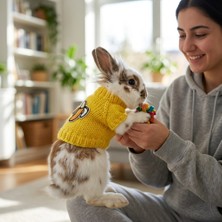 Lady Fify Tavşan ve Ginepig Için Muzlu Sarı Kazak