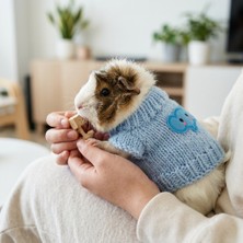 Lady Fify Tavşan ve Ginepig Için Filli Mavi Kazak