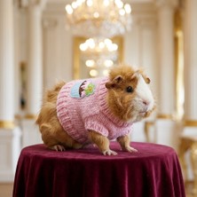 Lady Fify Tavşan ve Ginepig Için Muffinli Pembe Kazak