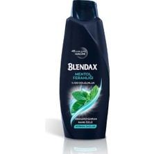 Bezos Erkek Mentol Şampuan 500ML 1 Adet