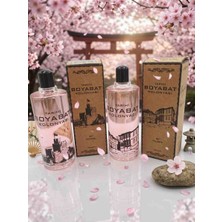 Japon Kiraz Çiçeği Kolonyası