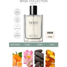 İxora E035 Puzzle Erkek EDP Parfüm 100 ml