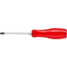 Rico Rıco darbeli Tornavida Yıldız Uçlu 8 x 250 mm