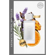 Royal Platinum York 100 ml Nıche Parfüm