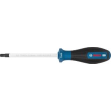 Bosch 1600A039SR T40 Torx Uçlu Tornavida Delikli 125 mm