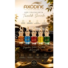 Axodine Dekoratif İpli Oto/ Araç Kokusu 10 ml Cam Şişe – 5 Adet