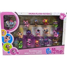 Kardelen Minik Pet Star Seti  15 Li 5149