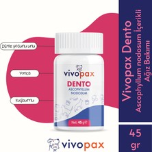Vivopax Dento -Ascophyllum Nodosum - Kedi ve Köpek Ağız Sağlığı Tozu 45 gr