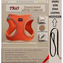 Trio Air-Mesh Küçük ve Orta Irk Kedi Köpek Göğüs Tasması Yumuşak, Nefes Alabilir, Extra Dayanıklı