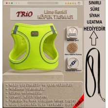 Trio Air-Mesh Küçük ve Orta Irk Kedi Köpek Göğüs Tasması Yumuşak, Nefes Alabilir, Extra Dayanıklı
