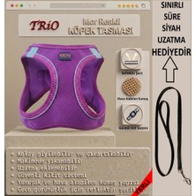 Trio Air-Mesh Küçük ve Orta Irk Kedi Köpek Göğüs Tasması Yumuşak, Nefes Alabilir, Extra Dayanıklı