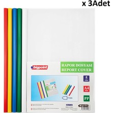 Bigpoint Sıkıştırmalı Rapor Dosyası 11MM - 5 Renk x 3 Adet