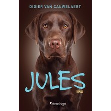Domingo Yayınevi Jules