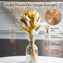 Dekora Çiçek Kurutulmuş Pamuk Otu Tavşan Kuyruğu Gelin Buketi Aranjman Çiçeği Lagurus Doğal ve Turuncu 80 Dal