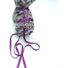 St. Morritz Kedi Düz Göğüs Tasması ve Gezdirme Seti PS9639