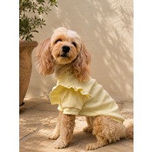 Maia Studio Limonetta Sarı Fırfırlı Köpek Sweatshirt-Köpek Kıyafeti