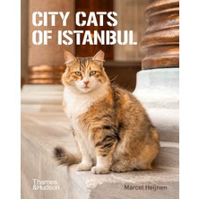 Brf Store Sidelyasell City Cats Of Istanbul