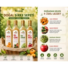 Perverde Doğal Sirke Seti 4’lü – Alıç, Elma, Enginar ve Işgın Sirkesi 500 ml x 4