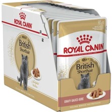 Sh Ticaret British Shorthair Yaş 12 Adet x 85 gr