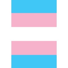 Sh Ticaret Independently Published Pride Flag Journal: Transgender Pride Flag