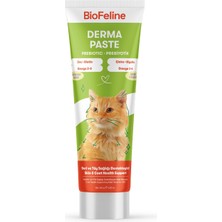 Sh Ticaret Derma Paste 100G