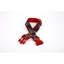 Colezium Köpek Desenli Dokuma Köpek Boyun Tasması 3 cm x 36-60 cm Kırmızı