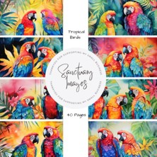 Sh Ticaret Tropical Birds Scrapbooking Paper: Decorative Paper Pad Supplies, Junk Journaling, Scrapbooki