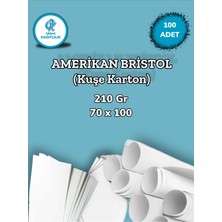 Orbak Kağıtçılık 210 Gr. Amerikan Bristol Kağıt Karton 70X100 100 Adet (14,7 Kg)